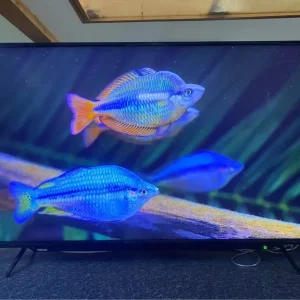 TOSHIBA 55UL2063DB 55" Smart 4K Ultra HD HDR LED TV - Image 3