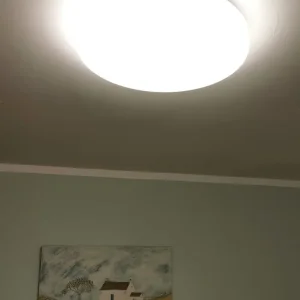 Round Ceiling Light - Image 3