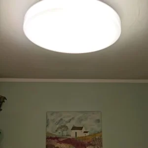 Round Ceiling Light