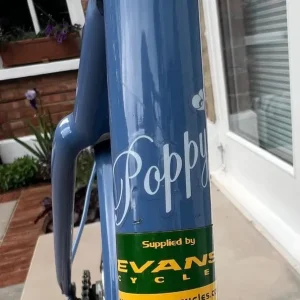 Pashley Poppy Bicycle – 20” Frame – Cornflower/Baby Blue – Great Condition, Recently Serviced - Image 4