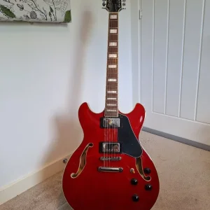 Ibanez AS7312 Electric 12 String Guitar