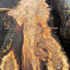 Live edge wood slabs and beams natural hardwood timber - Image 2