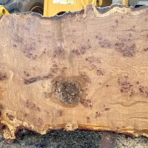Live edge wood slabs and beams natural hardwood timber - Image 6