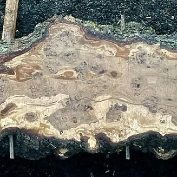 Live edge wood slabs and beams natural hardwood timber