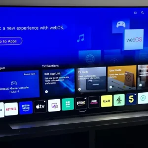 LG OLED SMART TV 55C1