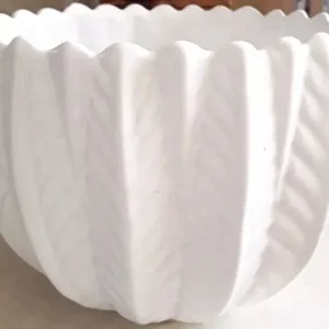 White Ceramic Jardiniere Pot