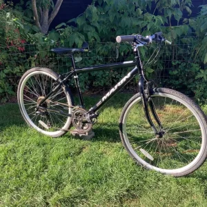 Marin Muirwoods 16-inch bike
