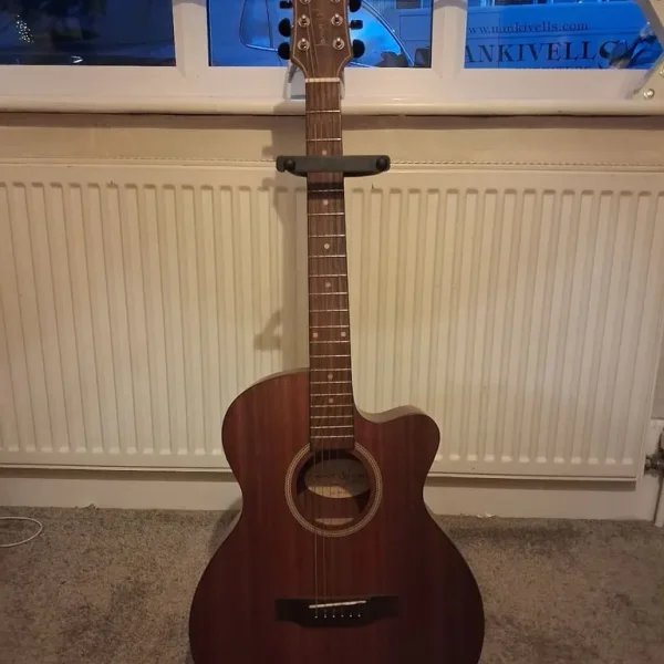 James Neligan electric acoustic guitar