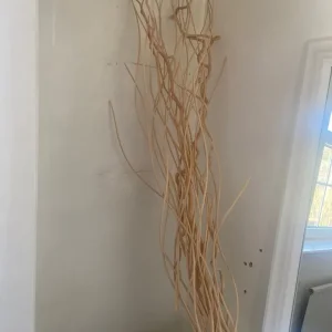 twisted hazel twigs