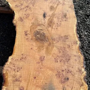 Hardwood timber – oak, ash, beech, sycamore, elm, cherry - Image 5
