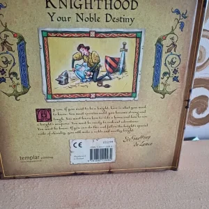 How to Be a Knight - Image 2