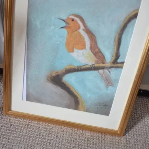 signed A3 robin picture