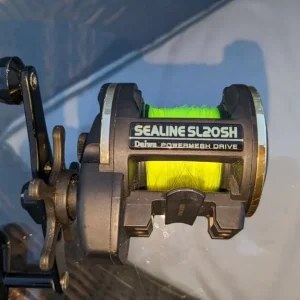 DIAWA Slosh 20 Multiplier Fishing Reel