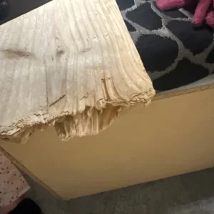 Genuine driftwood shelf - Image 3