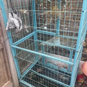 Large Outdoor Pet Enclosure – Rare Light Blue, Multiple Levels - Image 2