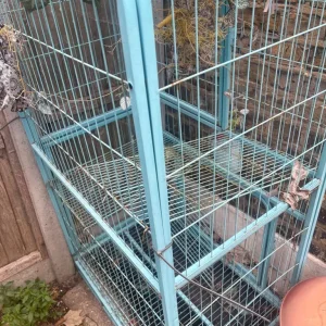 Large Outdoor Pet Enclosure – Rare Light Blue, Multiple Levels