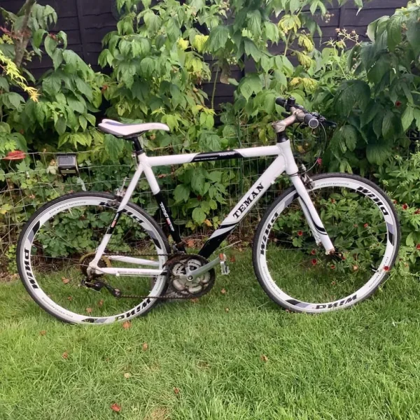 Road Bike Temen Pro 3.0