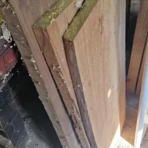 Various wood timber