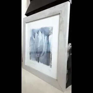 LAURA DI ANGELO 1999 Monochrome Tulip Framed Print 400mm x 400mm - Image 3