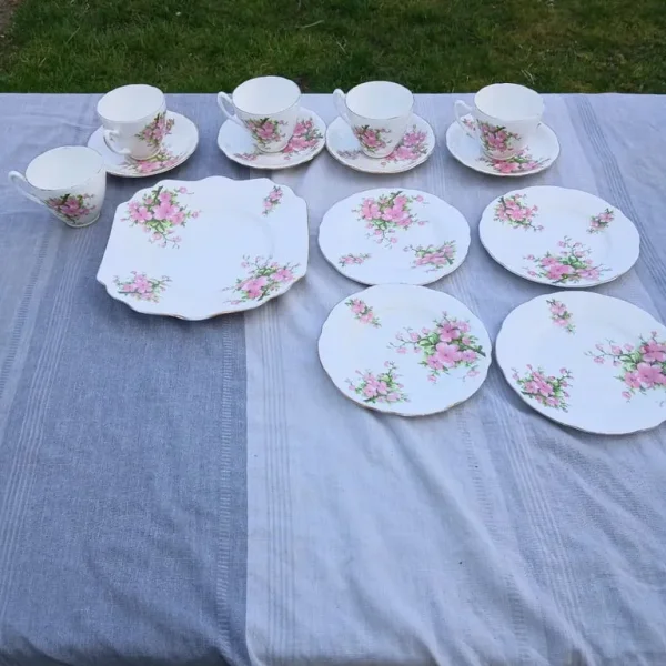 Bone china plate set