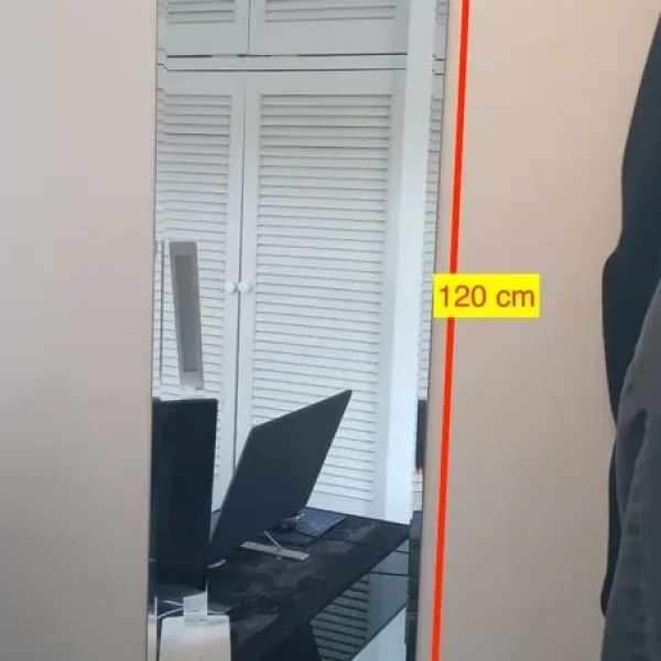 Mirror