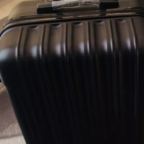 Two sturdy suitcases