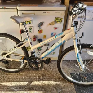 Python Rock Kids Bike
