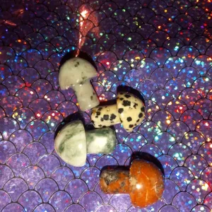Crystal/Stone Mushroom Bundle - Image 4