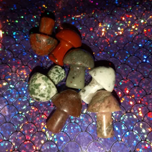 Crystal/Stone Mushroom Bundle