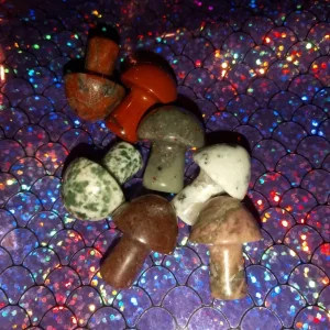Crystal/Stone Mushroom Bundle