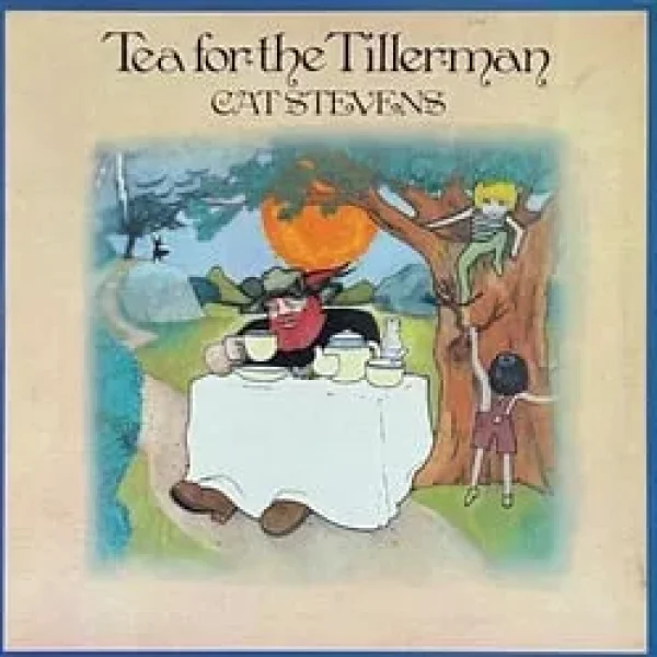 Cat Stevens LPs