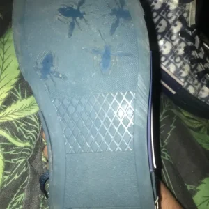 Real Diors - Image 2