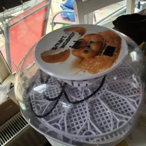 Egg incubator - Image 2