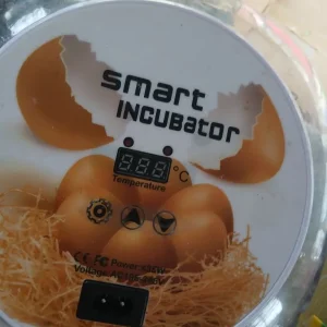Egg incubator - Image 3