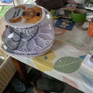 Egg incubator