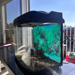 Fish Tank with Accessories - Image 2