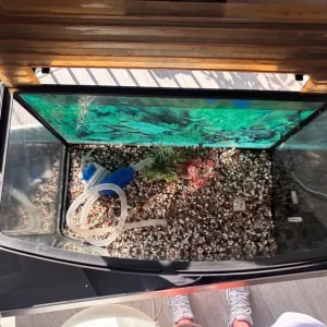 Fish Tank with Accessories - Image 3