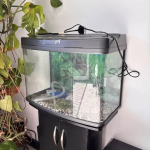 Fish Tank with Accessories - Image 8