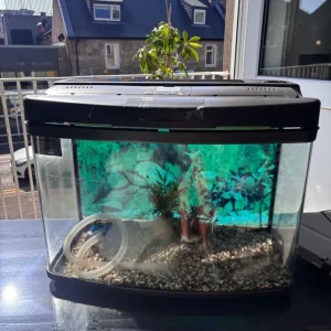Fish Tank with Accessories