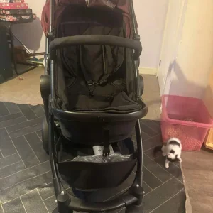 Lush pram
