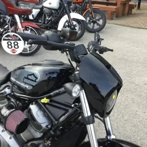2023 Harley-Davidson Nightster 975 Manual - Image 3