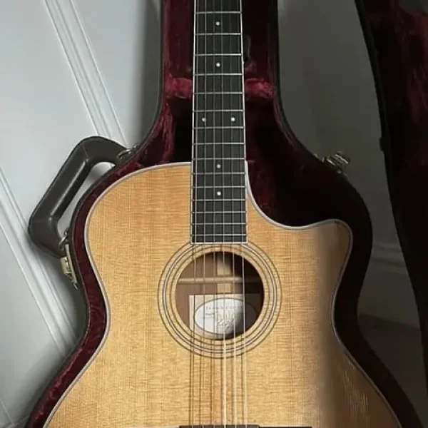 Taylor 414ce-N nylon string acoustic-electric guitar (2016, rare, with hard case)