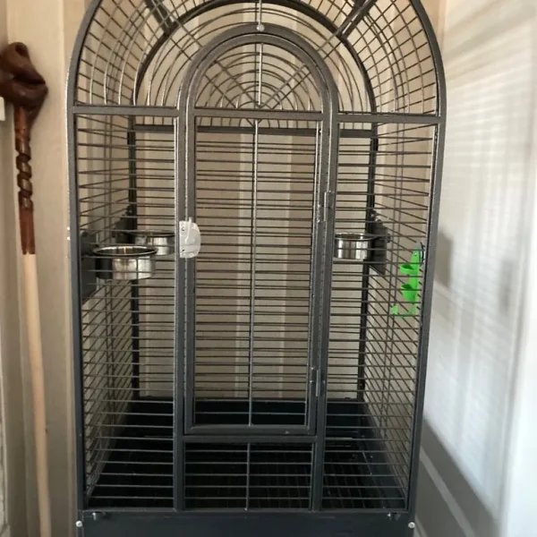 Pet bird cage