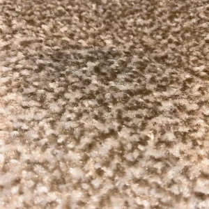 Divine twist dark beige carpet 4 m wide - Image 4
