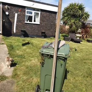 1bed bungalow with big garden - Image 3