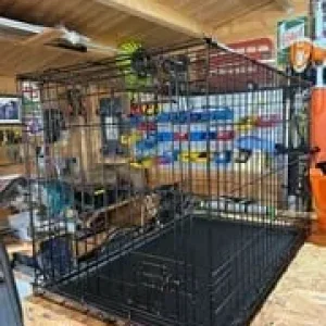 Dog crate - Image 4