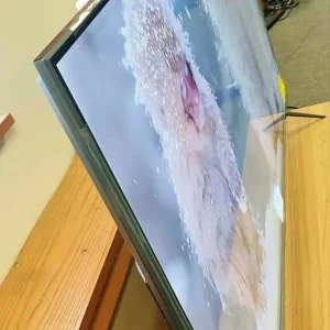 55” 4K QLED TV with Dolby Vision and Fire TV - Image 4
