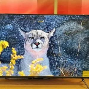 55” 4K QLED TV with Dolby Vision and Fire TV - Image 5