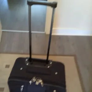 SMALL SUITCASE ON WHEELS AND ANTLER TRAVEL BAG - Image 8