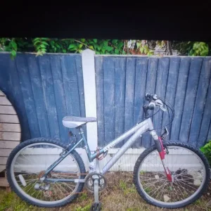 24in girls ladies bike